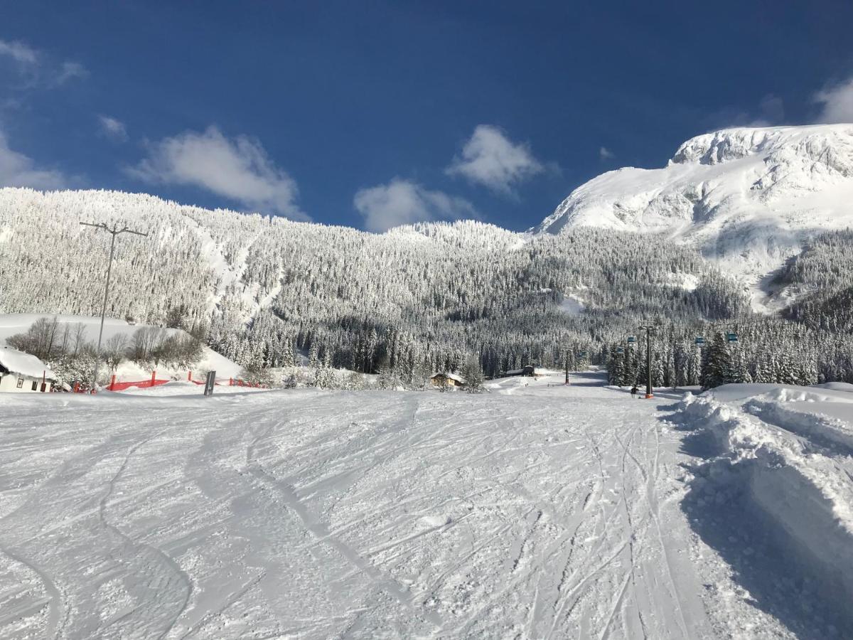 Sporthotel Dachstein West Annaberg im Lammertal Dış mekan fotoğraf